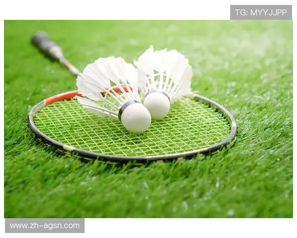 羽毛球俱乐部比赛用球